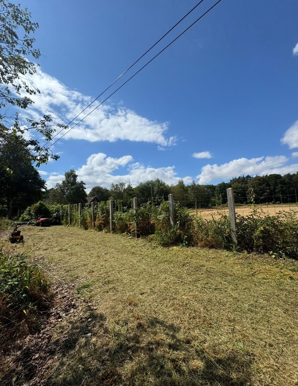 GARDEN CLEARANCE: finished project